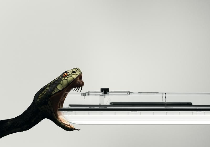 AMPHIBIA - Moisture-proof luminaire - Robust. Versatile. For complex environments