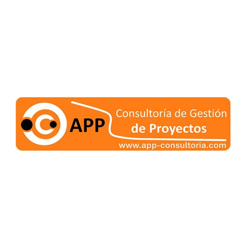 APP PROJECT MANAGEMENT CONSULTING, LLC