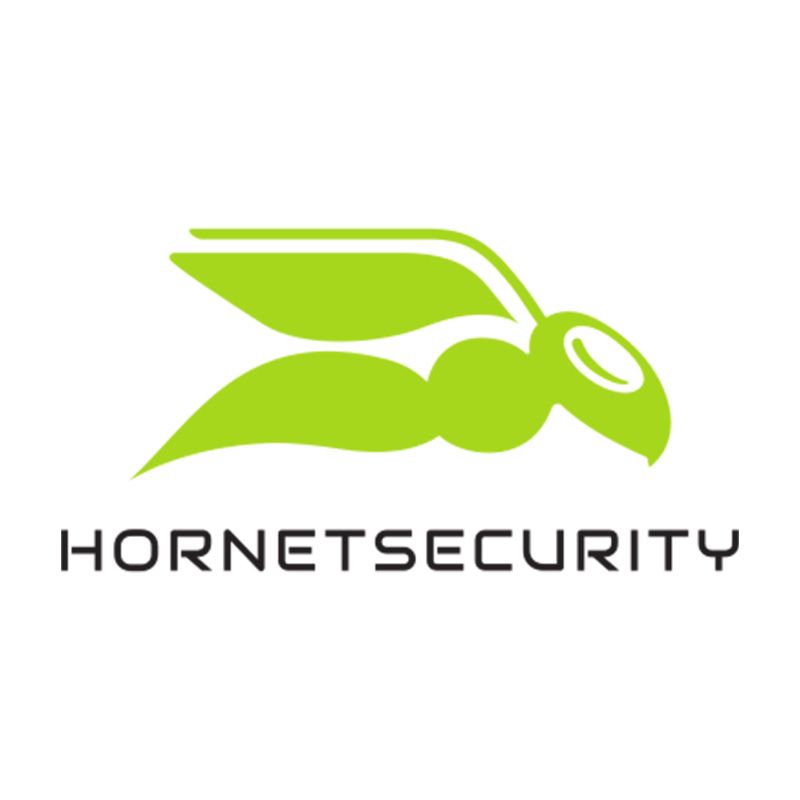 Hornet security
