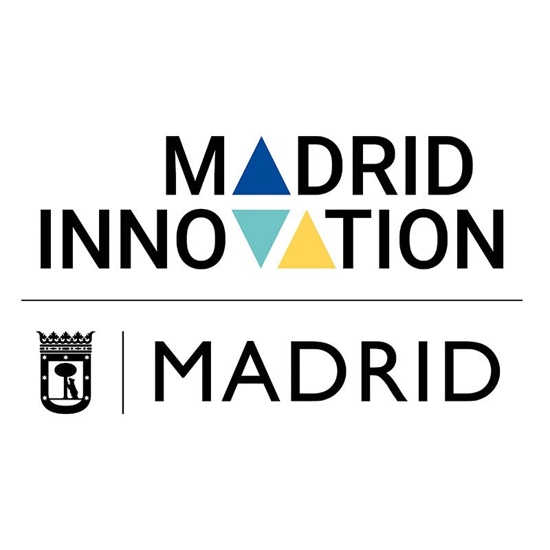 Madrid City Council 