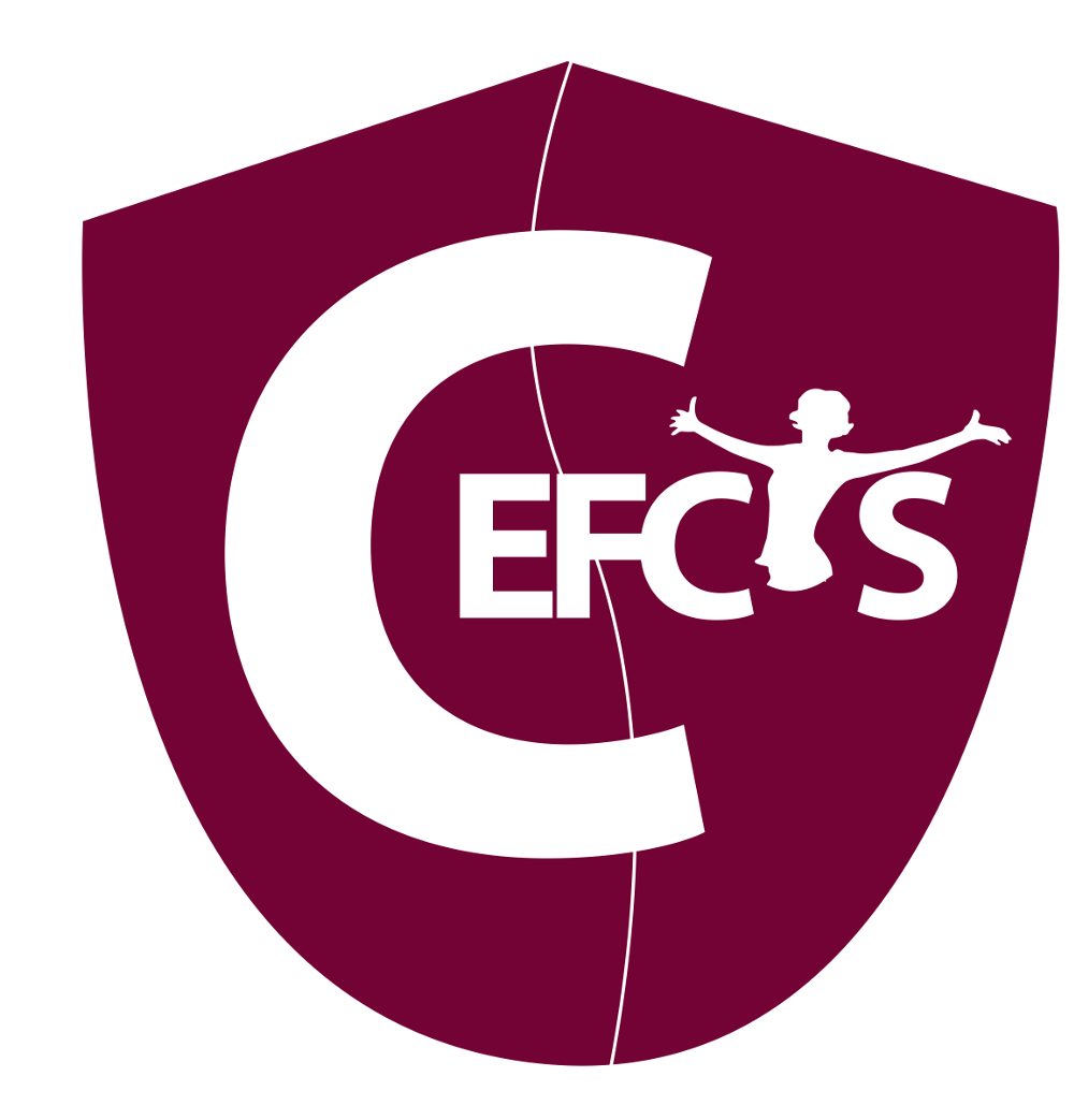 Cefcys partenaire Cloud & Cyber Security Expo Paris