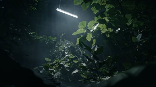 AMPHIBIA – Conçu pour résister dans l’éclairage industriel