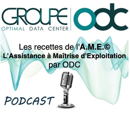 Les recettes de l'A.M.E.© L'Assistance à Maîtrise d'Exploitation par ODC