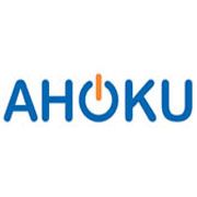 AHOKU ELECTRONIC COMPANY