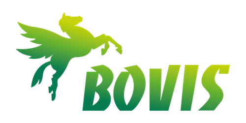 GROUPE BOVIS
