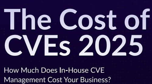 The Hidden Costs of CVEs — And the Value You’re Leaving on the Table