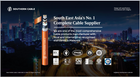 Medium Voltage (MV) Cables