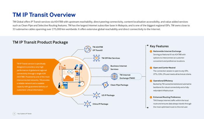 TM Global IP Transit