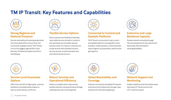 TM Global IP Transit
