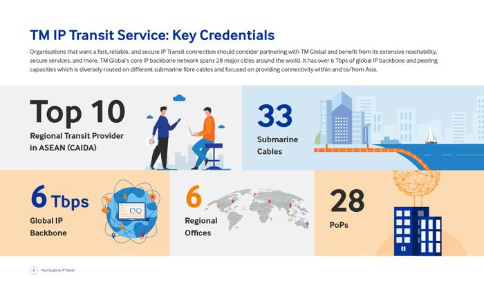 TM Global IP Transit