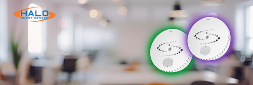 Halo Smart Sensor
