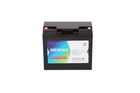 HIGH RATE VALVE REGULATED LEAD-ACID BATTERY
