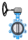 Lug Type Butterfly Valve