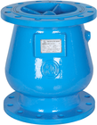 Nozzle Check Valve