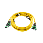 Pre-Terminated MPO Trunk Cable