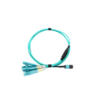 MPO Harnesses