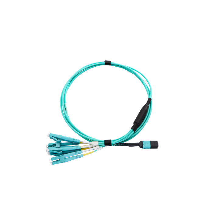 MPO Harnesses