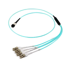MPO Harnesses
