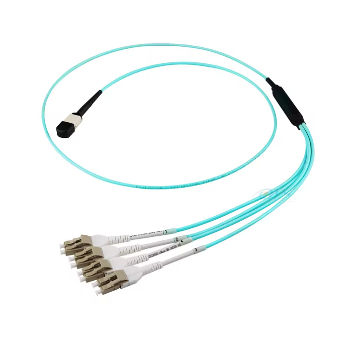 MPO Harnesses