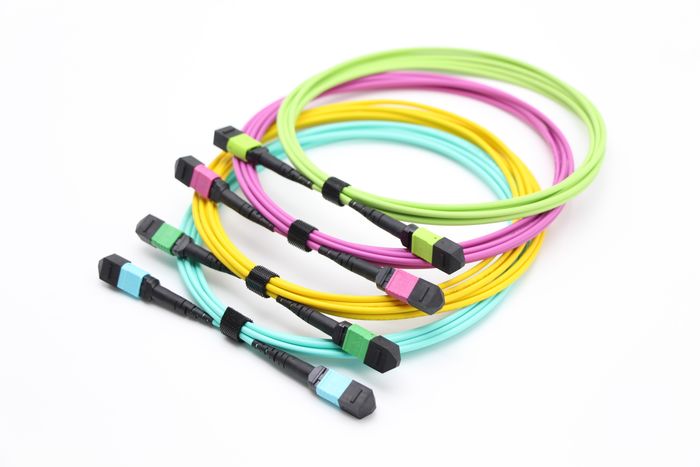 MPO Trunk Cable Series