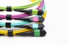 MPO Trunk Cable Series