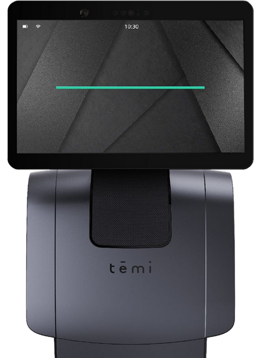 temi robot