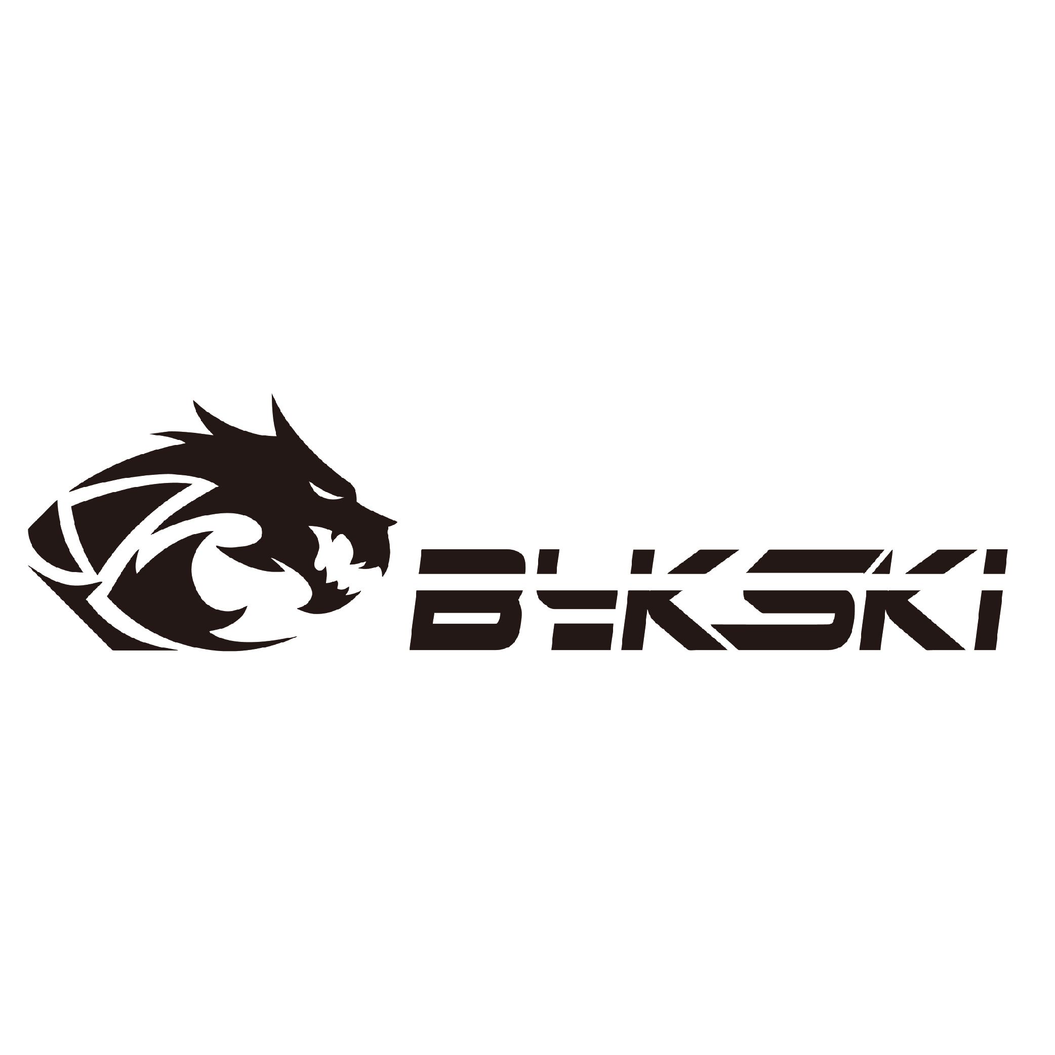 Bykski.Co.,LTD