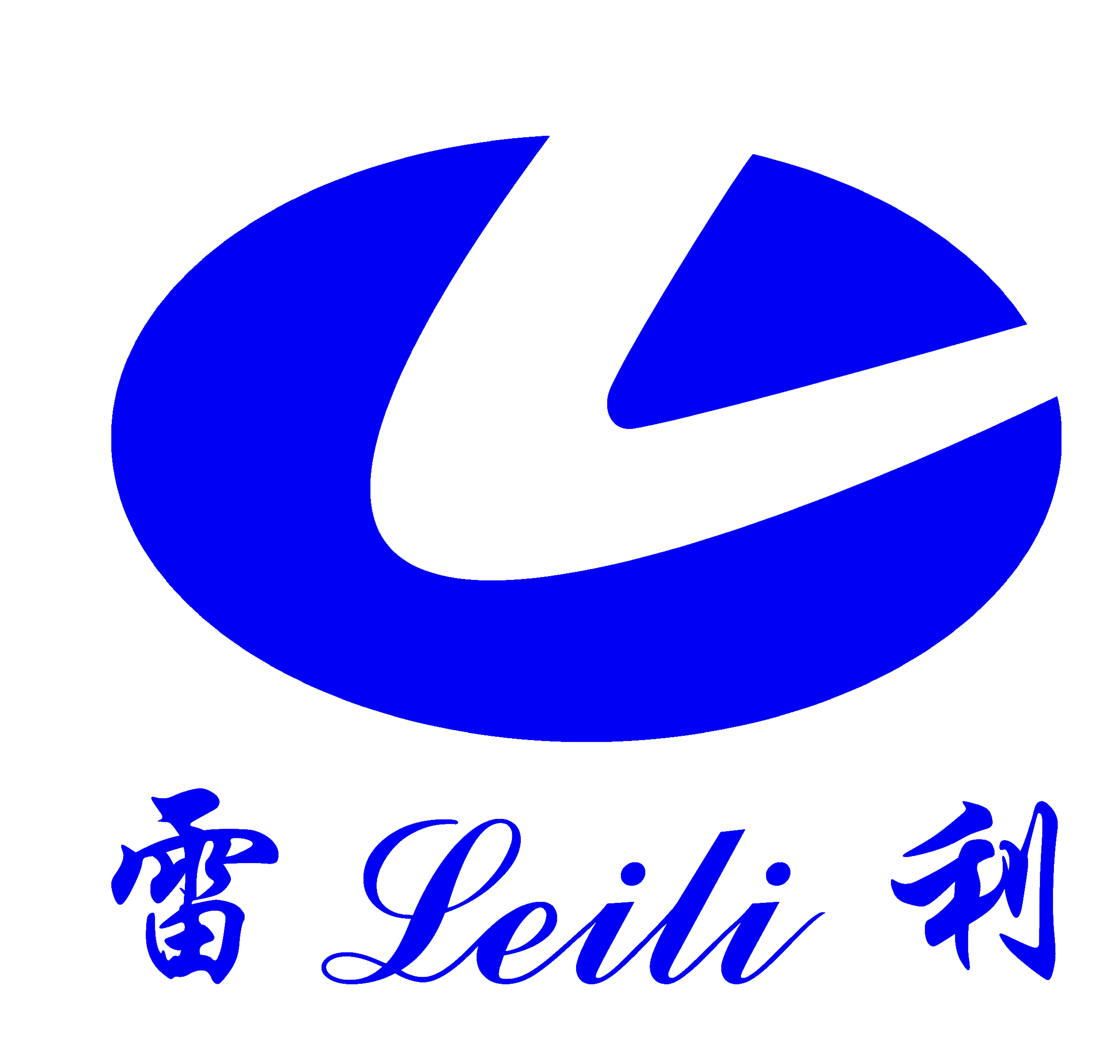 Changzhou Leili Motor Seid Tech Co.Ltd