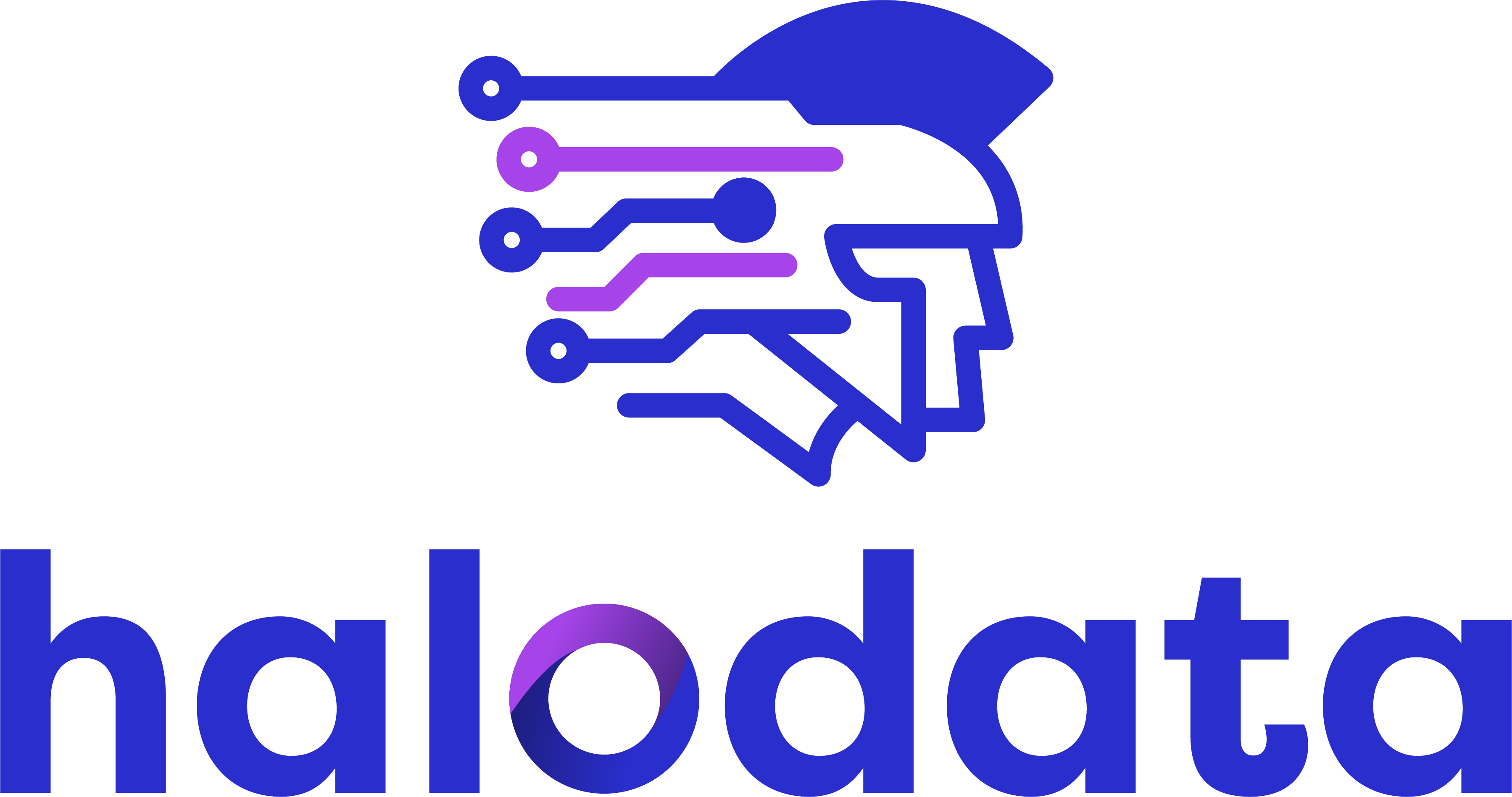 Halodata International