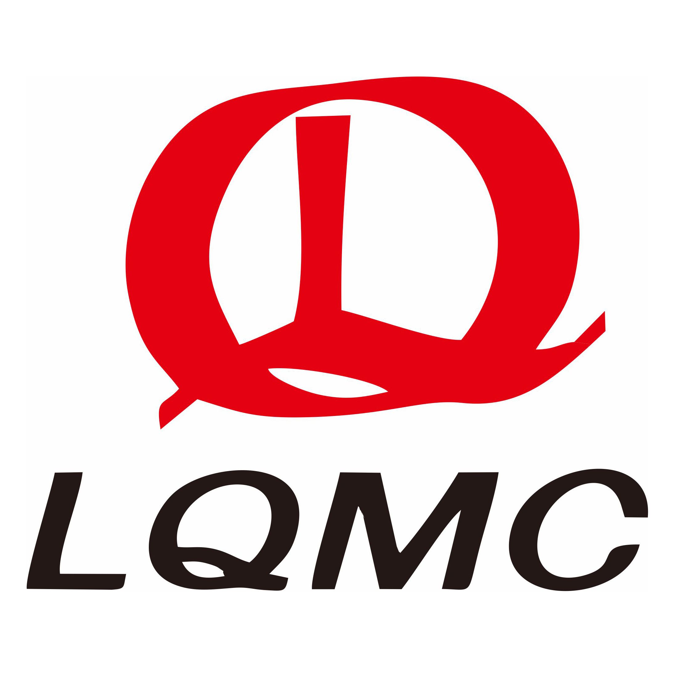 Luqiang Energy Equipment Co., Ltd