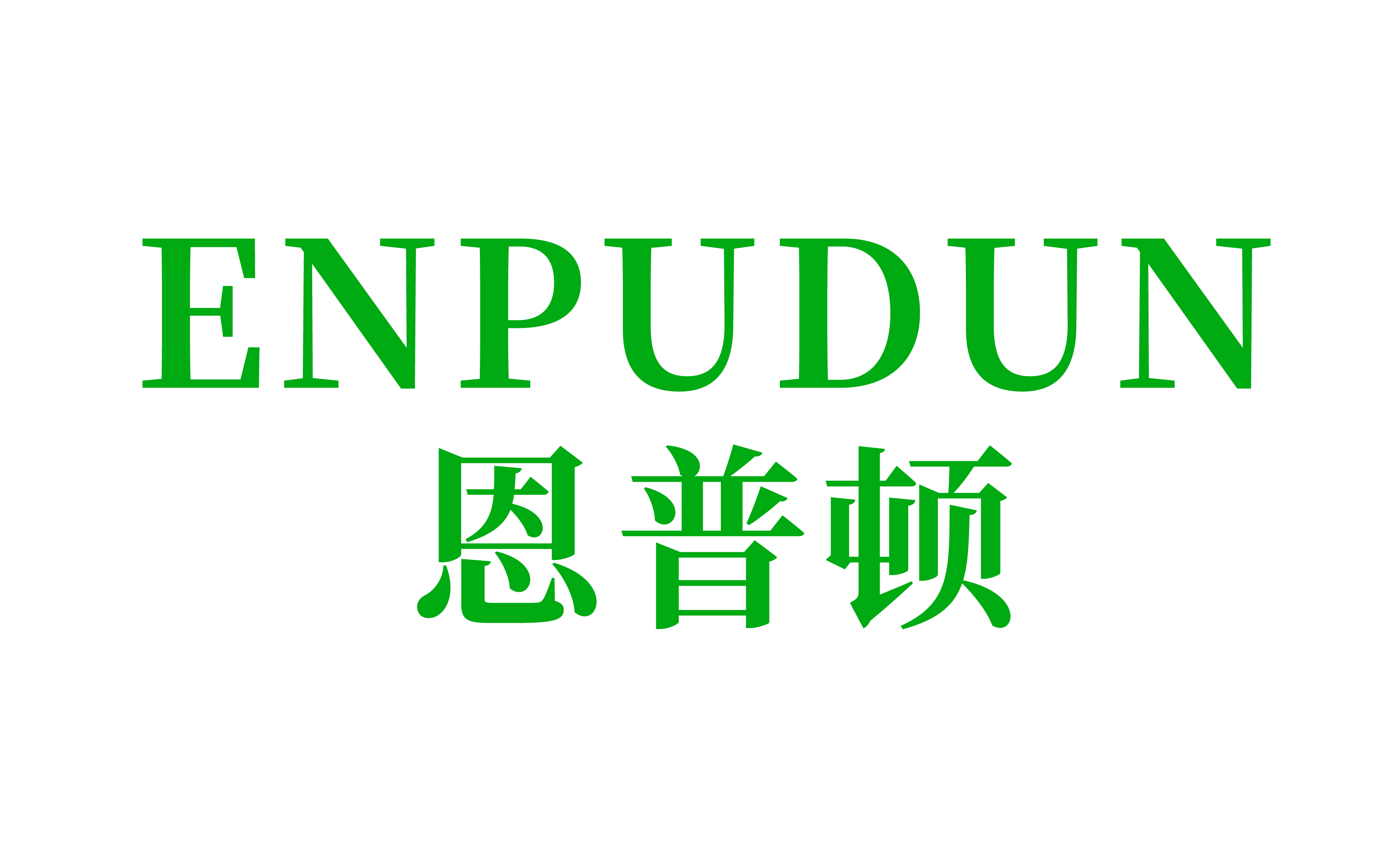 Guangdong Enpundun Intelligent Technology