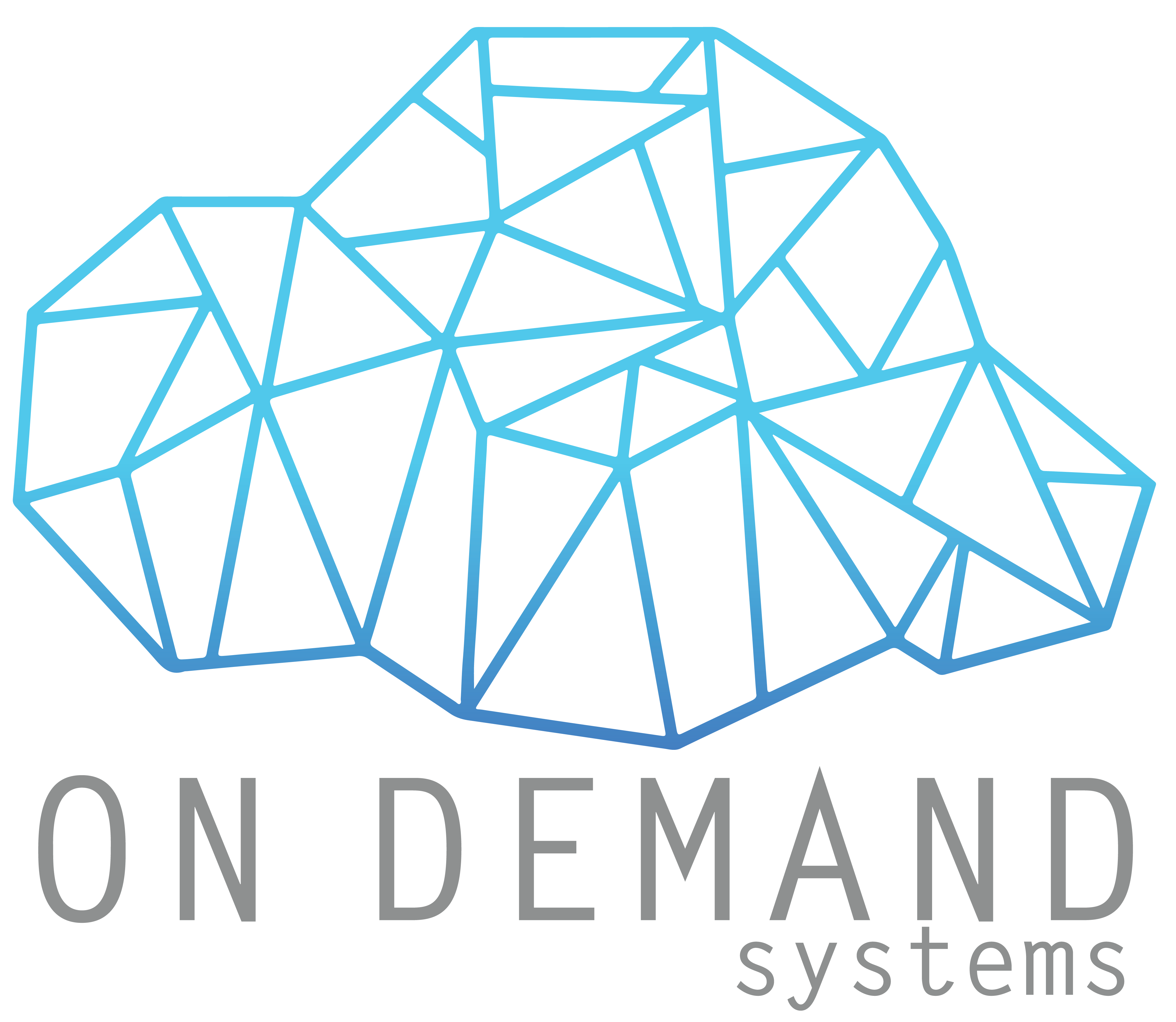 ON DEMAND SYSTEMS PTE LTD