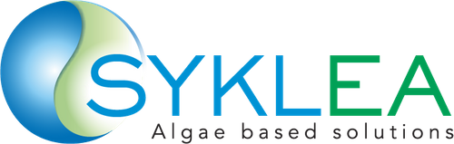 Syklea