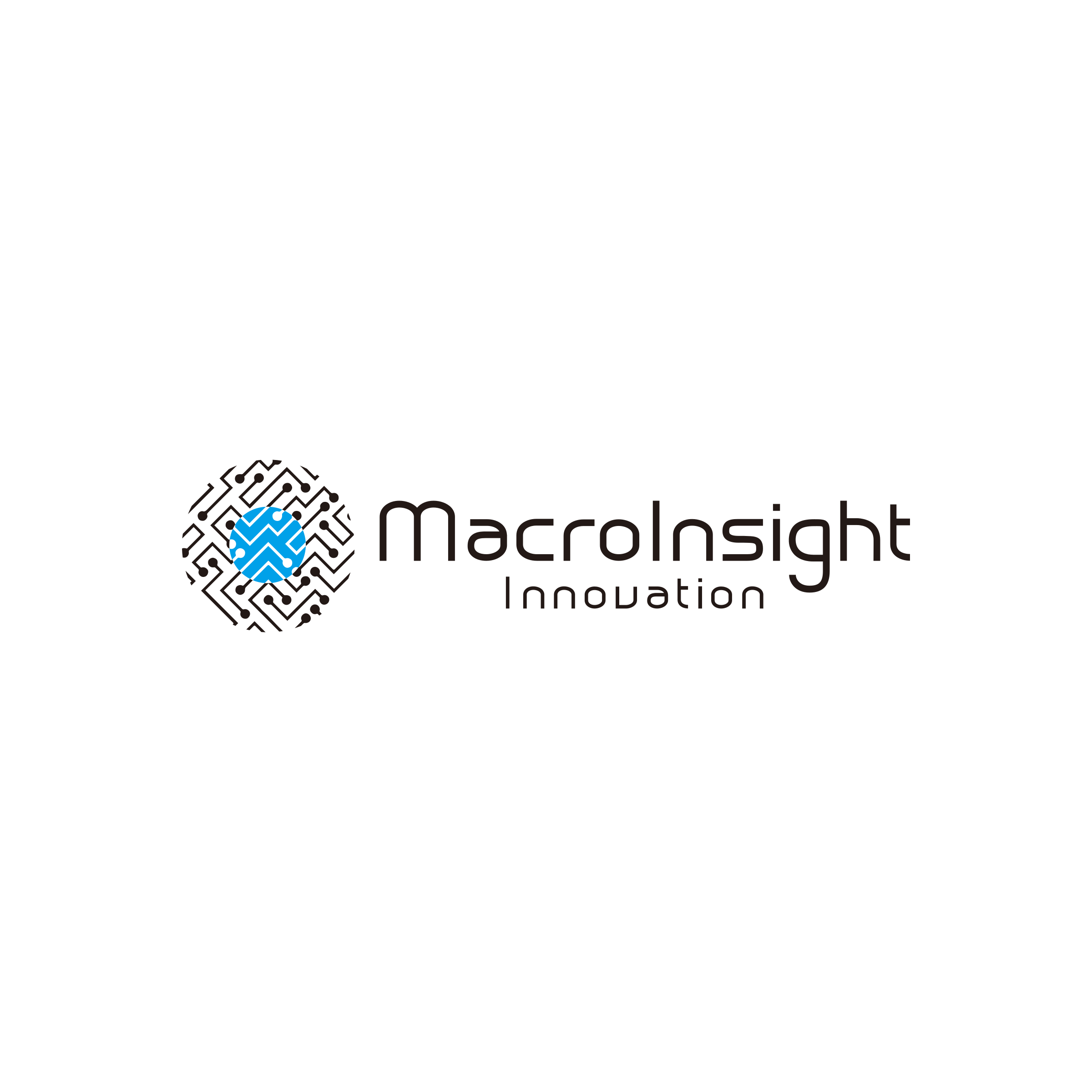 MACROINSIGHT