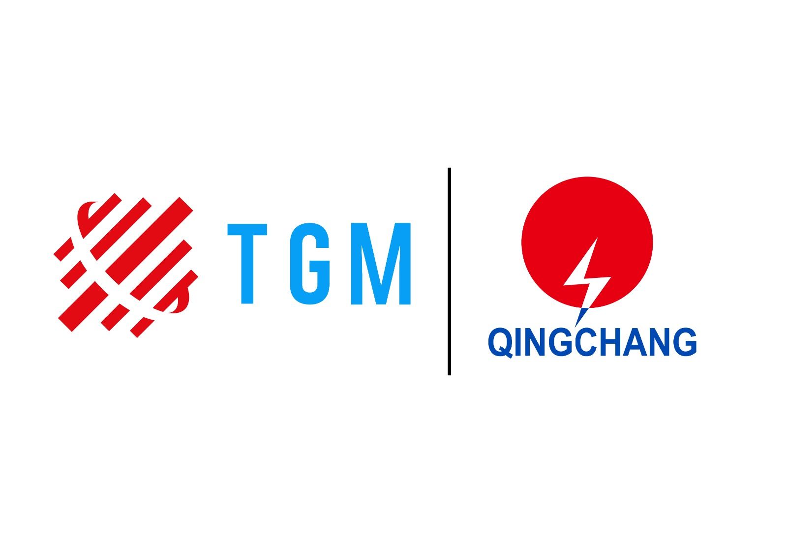 TGM Global