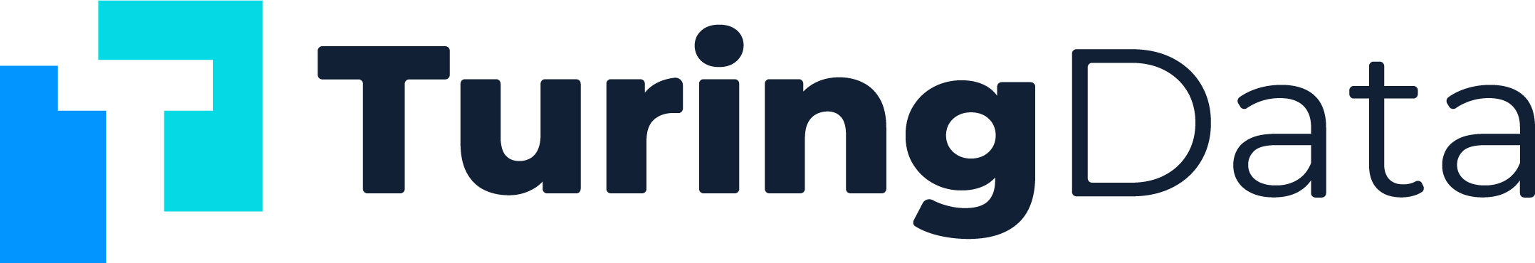 TuringData