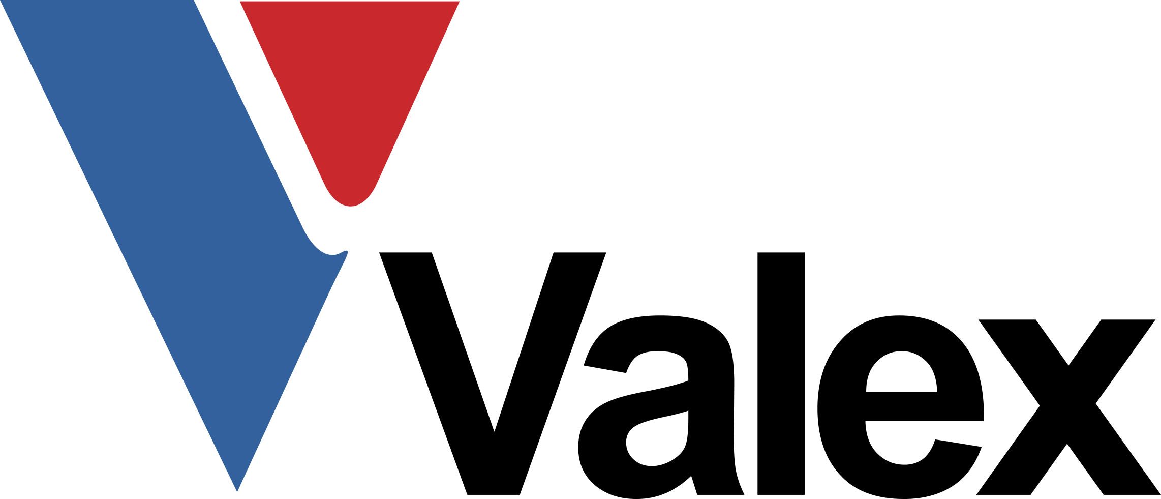 Valex Semiconductor Materials (Zhejiang) Co., Ltd.
