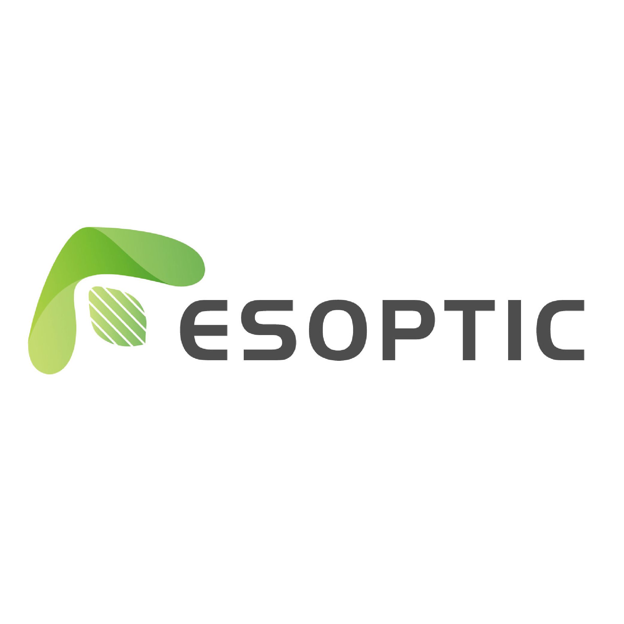 Wuhan Esion Optic Inc Ltd.