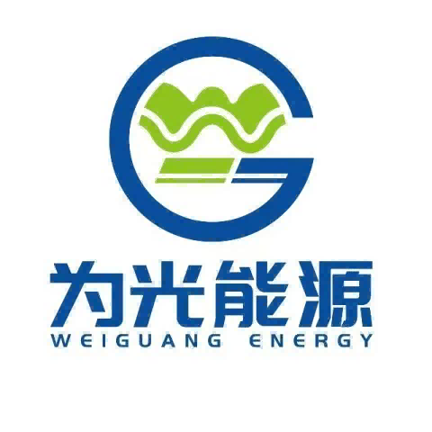 XI'AN WEIGUANG ENERGY