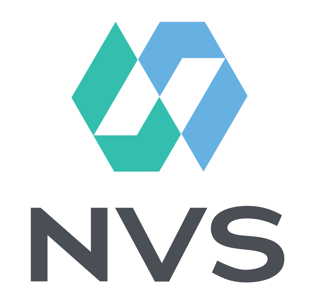 NVS CONSULTING