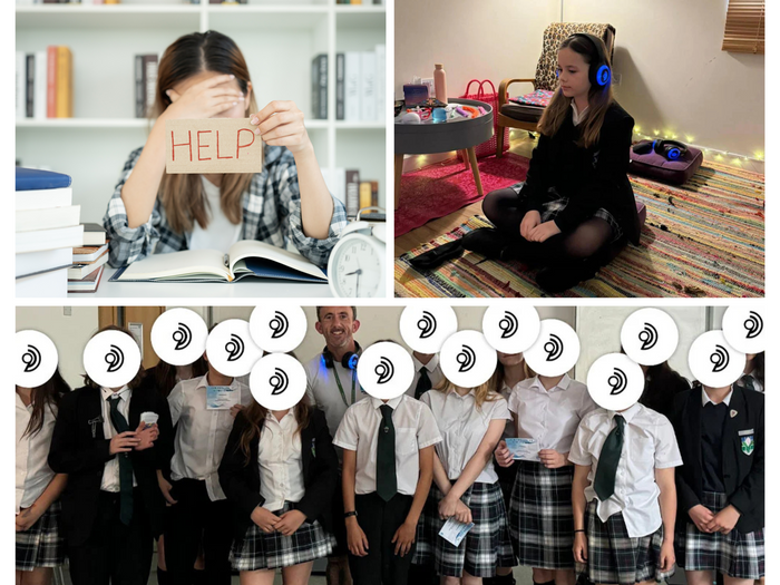 A Transformative Mental Health Solution for Schools