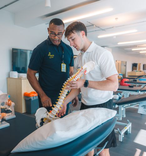Physiotherapist
