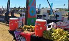 Igloo Seat Top Drinks Dispensers