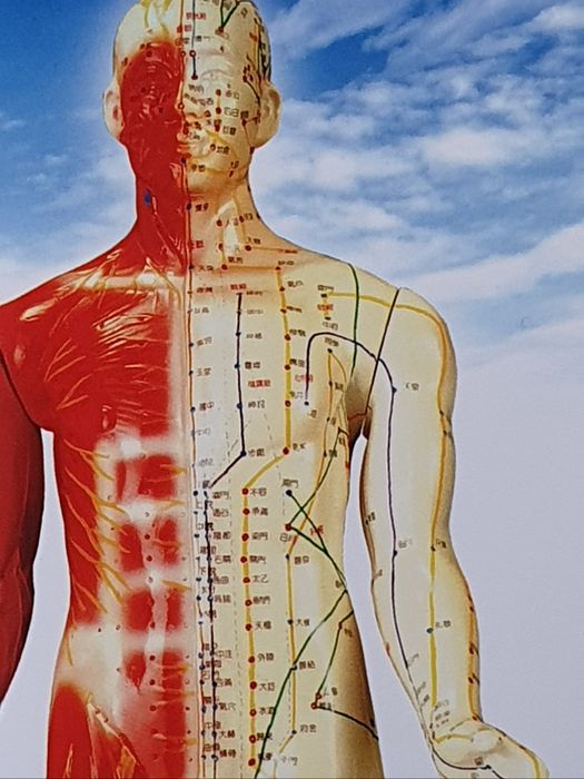 Tera-Force: Non-Invasive Magnet Acupuncture