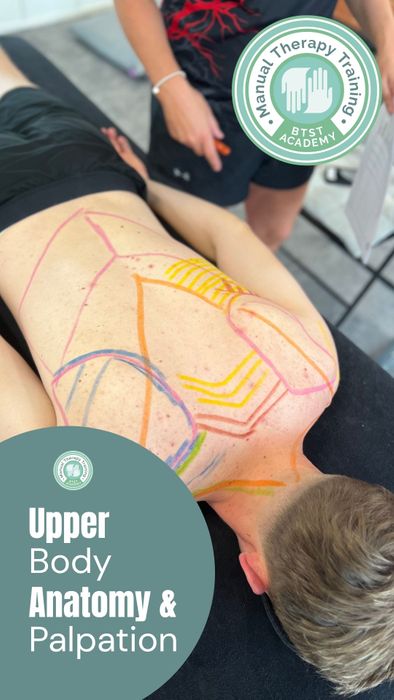 Upper & Lower Body Anatomy Courses