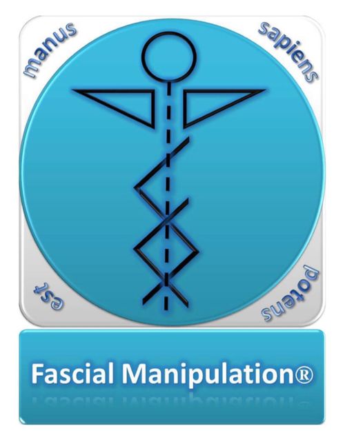 FASCIAL MANIPULATION® by STECCO