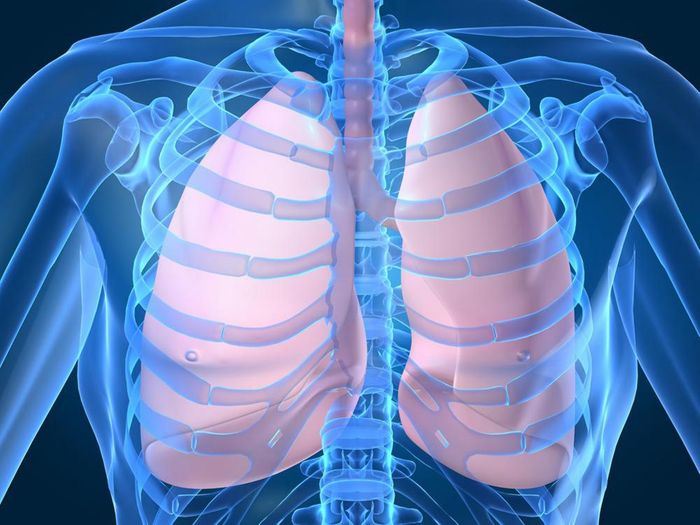 Woman Survives 6 days Without Lungs