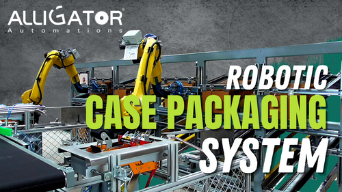 Secondary Packaging Machine