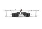 High performance 3-axis gantry FP-5-HP