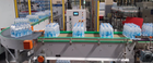Intralogistics Conveyors